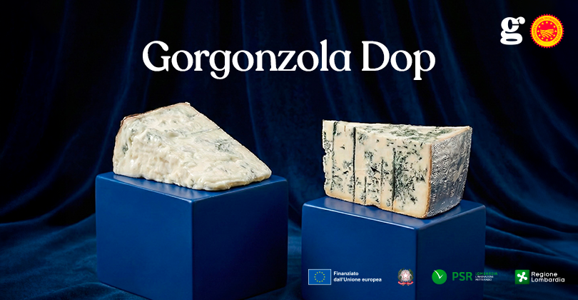 GORGONZOLA DOP TRA I FORMAGGI PIU’ RICERCATI AL MONDO SUL WEB